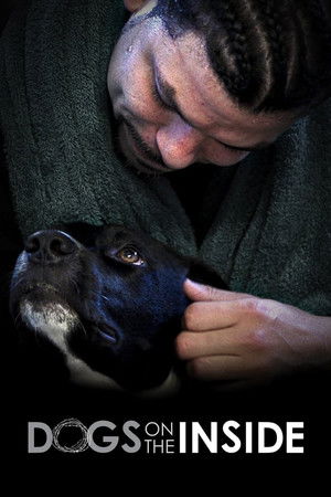 Watch Free Dogs on the Inside (2014)