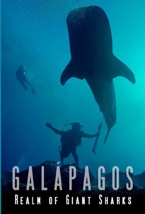 Watch Free Galapagos: Realm of Giant Sharks (2012)