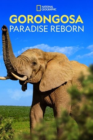 Watch Free Gorongosa Paradise Reborn (2022)