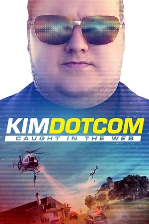 Watch Free Kim Dotcom: Caught in the Web (2017)