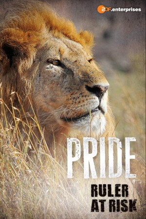 Watch Free Pride Rulers at Risk (2016)