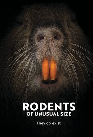 Watch Free Rodents of Unusual Size (2017)