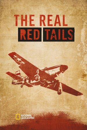 Watch Free The Real Red Tails (2024)
