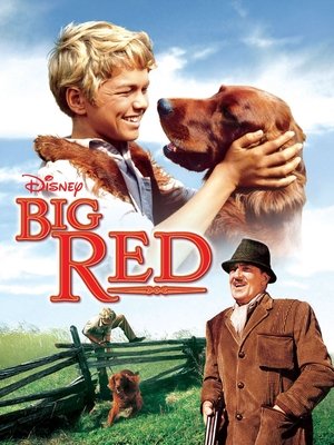 Watch Free Big Red (1962)