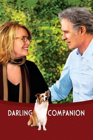 Watch Free Darling Companion (2012)