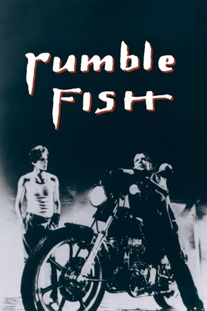 Watch Free Rumble Fish (1983)