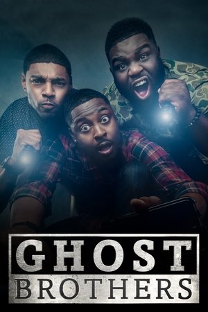 Watch Free Ghost Brothers (2016)