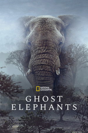 Watch Free Ghost Elephants (2025)