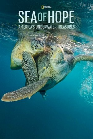 Watch Free Sea of Hope: Americas Underwater Treasures (2017)