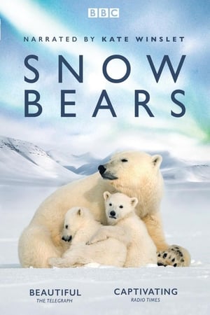 Watch Free Snow Bears (2017)