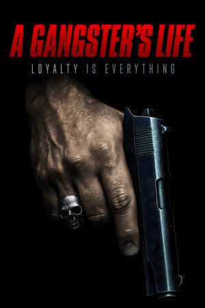 Watch Free High Hopes (2024)