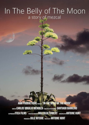 Watch Free In the Belly of the Moon (2018)