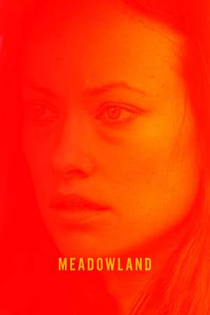 Watch Free Meadowland (2015)