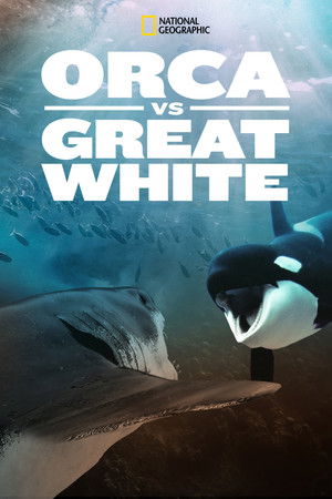 Watch Free Orca vs. Great White (2021)