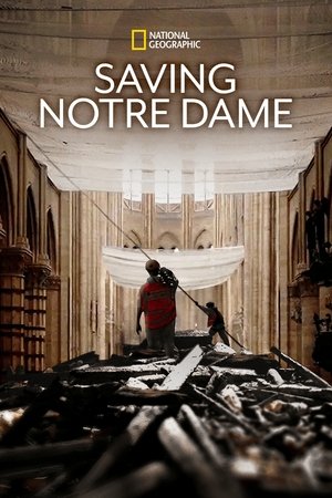 Watch Free Saving Notre Dame (2020)