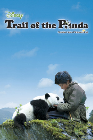 Watch Free Xiong mao hui jia lu (2009)