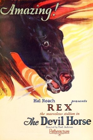 Watch Free The Devil Horse (1926)