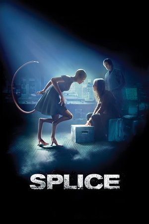 Watch Free Splice (2009)