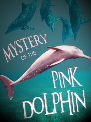 Watch Free The Mystery of the Pink Dolphin (2015)