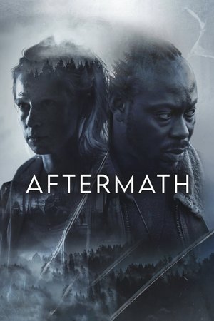 Watch Free Aftermath (2024)