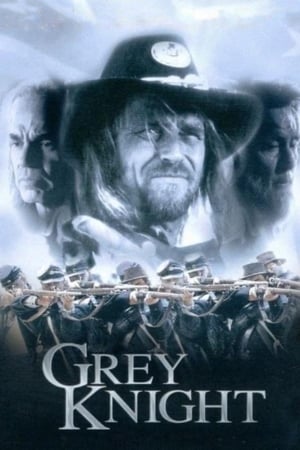 Watch Free Grey Knight (1993)