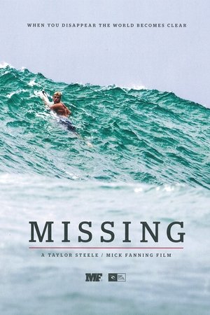 Watch Free Missing (2013)