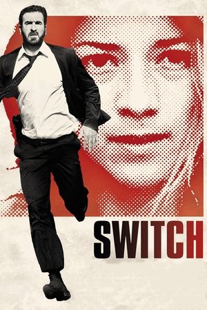 Watch Free Switch (2011)