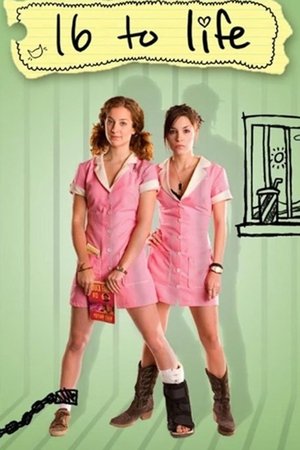 Watch Free 16 to Life (2009)