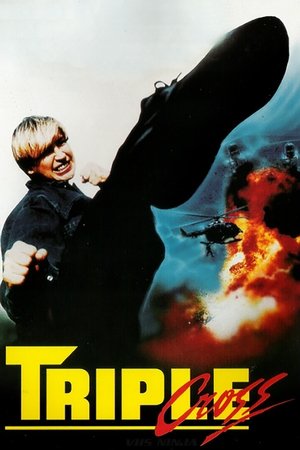 Watch Free Angel of Fury (1992)