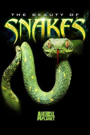 Watch Free Beauty of Snakes (2003)