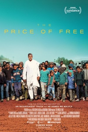Watch Free The Price of Free (2018)