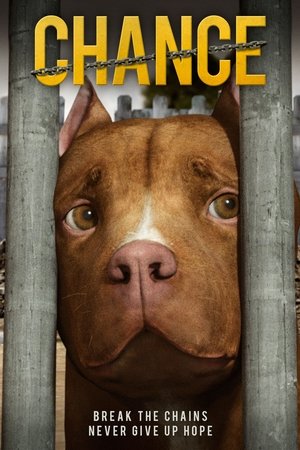 Watch Free Chance (2019)