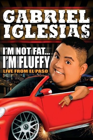 Watch Free Gabriel Iglesias: Im Not Fat... Im Fluffy (2009)