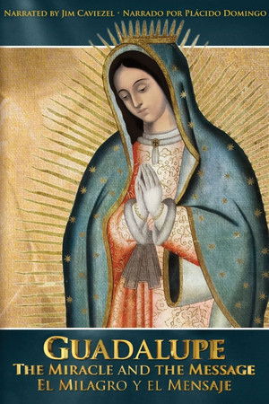 Watch Free Guadalupe The Miracle and the Message (2015)