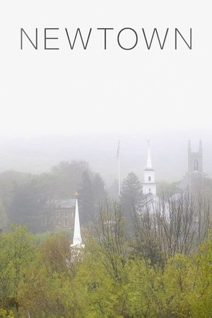 Watch Free Newtown (2016)