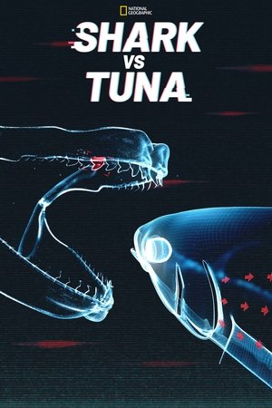 Watch Free Shark vs Tuna (2018)