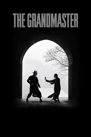 Watch Free The Grandmaster (2013)