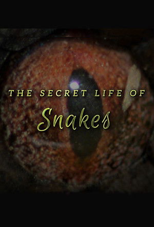 Watch Free The Secret Life of Snakes (2016)