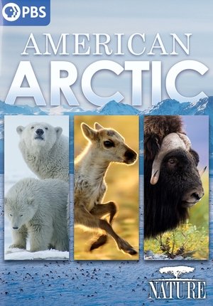 Watch Free American Arctic (2022)