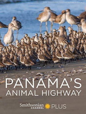 Watch Free Panamas Animal Highway (2017)
