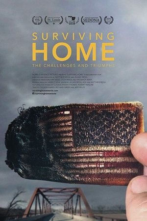 Watch Free Surviving Home (2017)