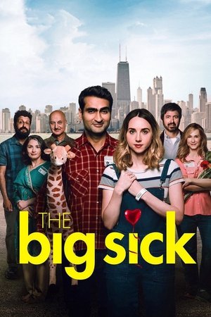 Watch Free The Big Sick (2017)