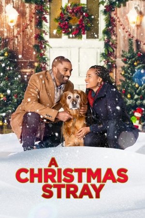 Watch Free A Christmas Stray (2021)