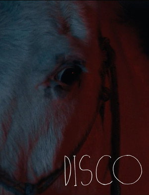 Watch Free Disco (2025)