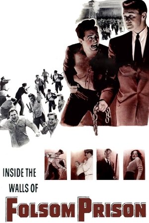 Watch Free Inside the Walls of Folsom Prison (1951)