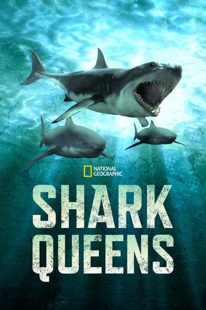Watch Free Shark Queens (2022)