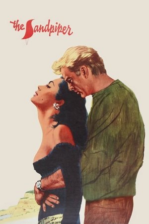 Watch Free The Sandpiper (1965)