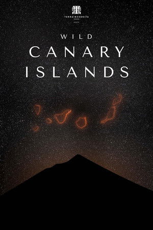 Watch Free Wild Canary Islands (2021)