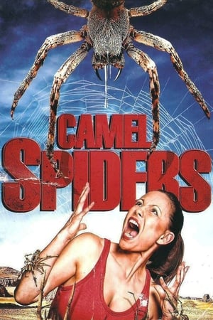 Watch Free Camel Spiders (2011)