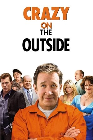Watch Free Crazy on the Outside (2010)